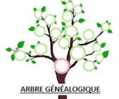 image arbre généalogique.png